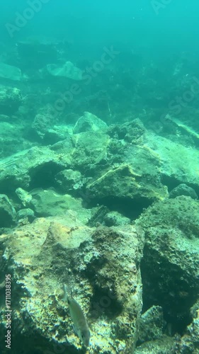 An underwater view of small fish swimming gracefully in clear turquoise water between sunlit rocks.