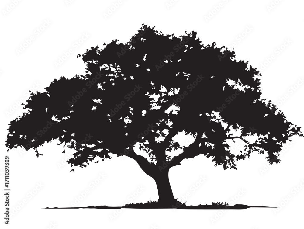 Fototapeta premium Beautiful pecan tree silhouette illustration for natural beauty