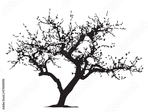 Elegant plum tree silhouette with graceful artistic detail