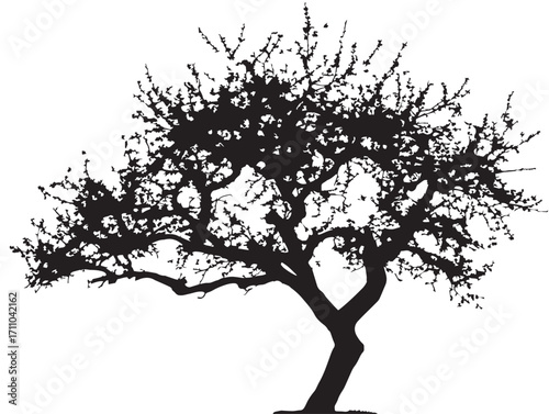 Decorative plum tree silhouette illustration for stylish projects