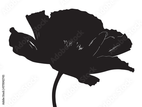 Graceful poppy flower silhouette with stunning bold elegance