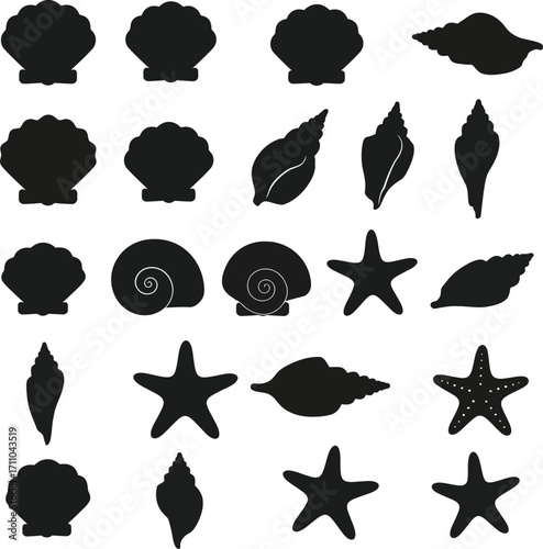 A collection of black silhouettes of seashells and starfish.
