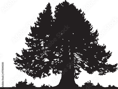 Giant Redwood Tree Silhouette Vector for Forest Illustrations