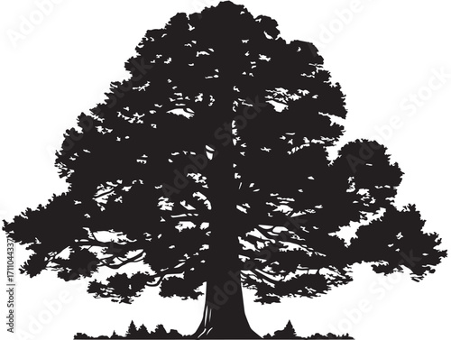 Impressive Redwood Tree Silhouette Artwork for Majestic Landscapes