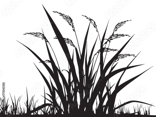 Full Rice Paddy Plant Silhouette Illustration for Agricultural Art