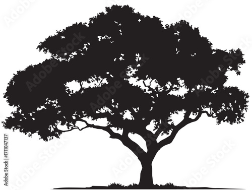 Majestic Savannah Tree Silhouette for Scenic Landscape Art