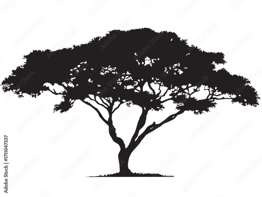 Fototapeta premium Decorative Savannah Tree Silhouette for Beautiful Wall Art