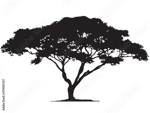 Decorative Savannah Tree Silhouette for Beautiful Wall Art