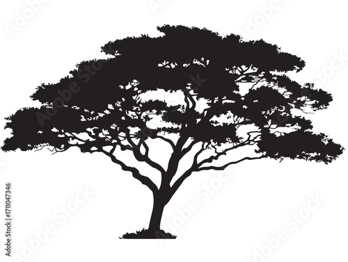 Striking Savannah Tree Silhouette Illustration for Nature Posters