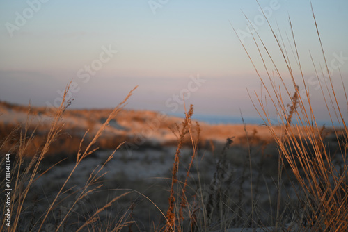 Coastal Sunset Landscape over sand dune with grasses on beach