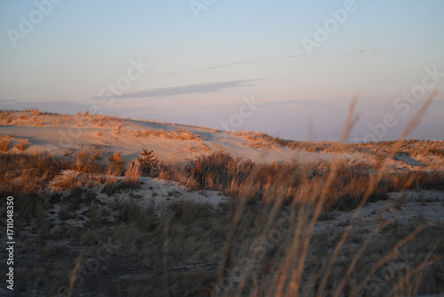 Coastal Sunset Landscape over sand dune with grasses on beach
