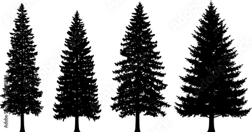 Silhouette of Evergreen Trees Set on White Background,Pine fir tree tall tree isolated premium vector image, black and white tree silhouettes,coniferous trees, pine trees,fir trees silhouettes set,Ai