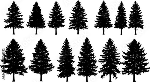 Silhouette of Evergreen Trees Set on White Background,Pine fir tree tall tree isolated premium vector image, black and white tree silhouettes,coniferous trees, pine trees,fir trees silhouettes set,Ai