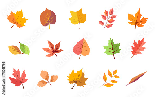 Vibrant red and orange autumn leaves vector isolated on transparent background. Autumn leaves collection in warm colors. Editable vector illustration.