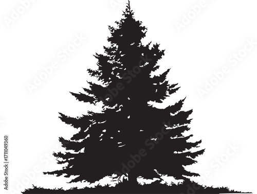 Elegant Spruce Tree Silhouette Design for Nature Graphic Themes