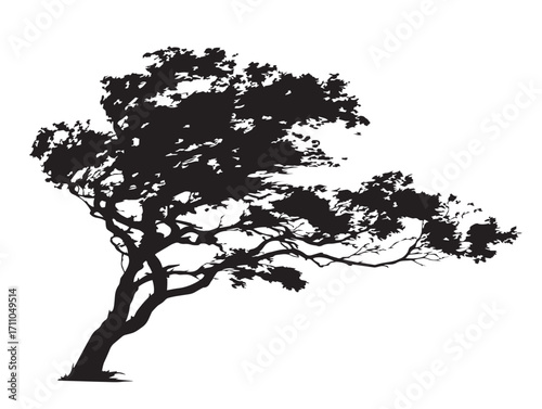Elegant Storm Bent Tree Silhouette Artwork for Nature Posters