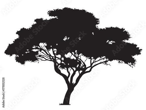 Artistic tamarisk tree silhouette vector illustration perfect for modern design