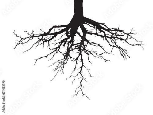 Unique torn broken roots silhouette vector illustration for rustic graphic art