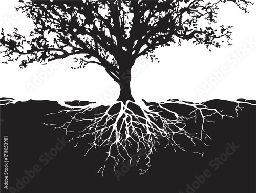 Natural tree root wall silhouette vector illustration in detailed design