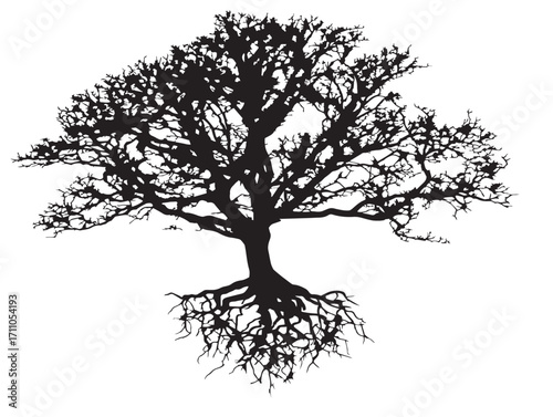 Strong tree root wall silhouette vector illustration with inspiring details
