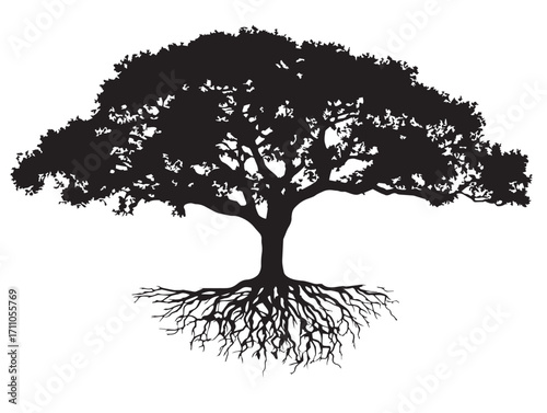 Dramatic tree with visible roots striking black vector design