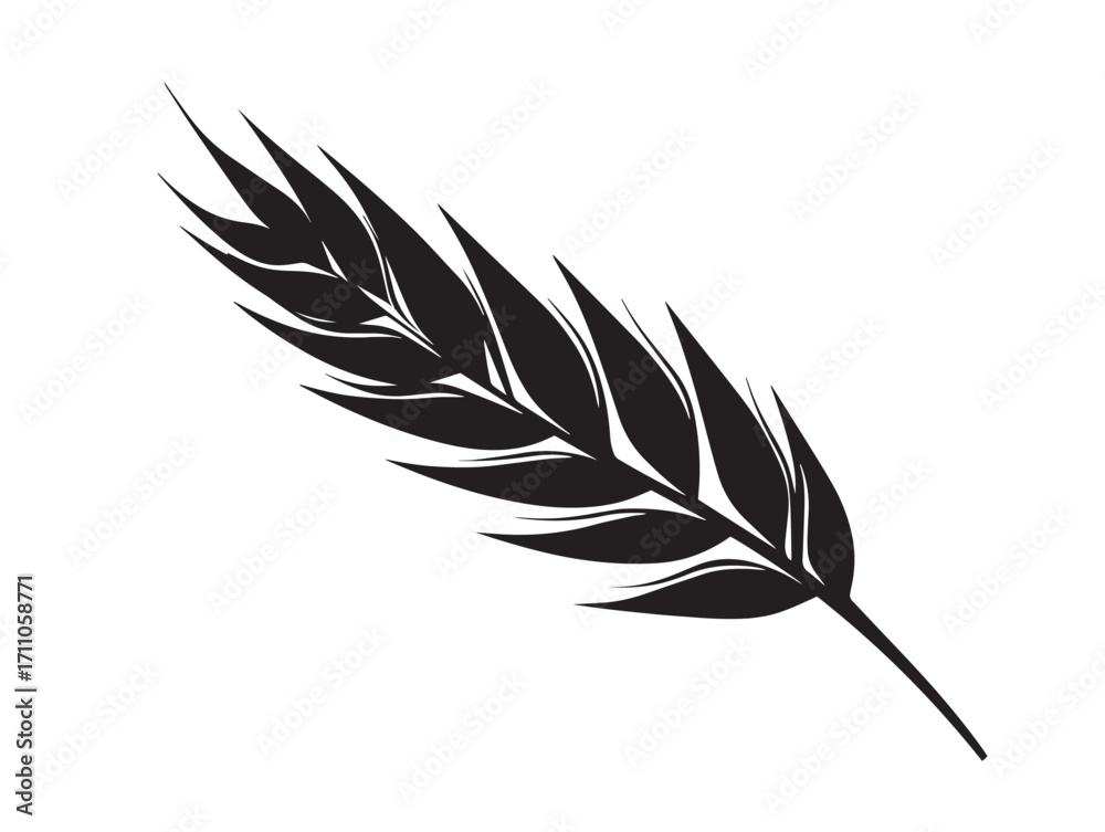 Obraz premium Beautiful wheat leaf blade bold artistic silhouette design