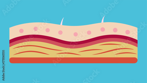 Collagen Fibers An illustration showing a crosssection of skin with thin wavy collagen fibers highlighted in a bright color appearing thicker and more abundant in areas treated
