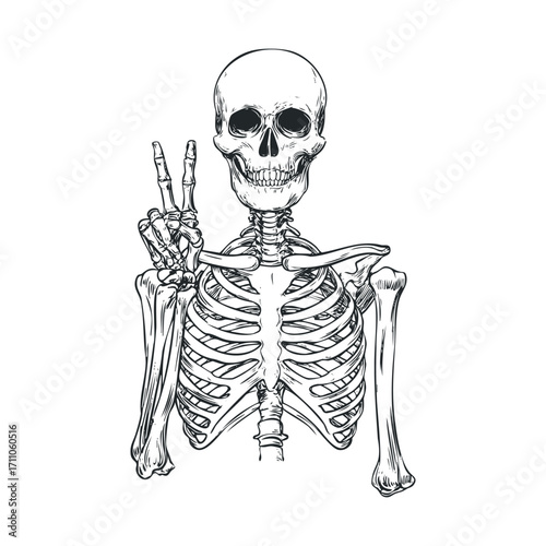 Skeleton showing peace sign perfect for Halloween decoration. Vector hand drawn illustration

