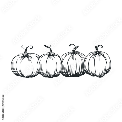 Pumpkin decoration for autumn celebration and seasonal decor. Vector hand drawn illustration

