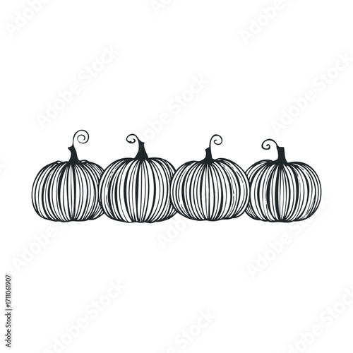 Beautiful pumpkins for autumn decoration and seasonal crafts. Vector hand drawn illustration

