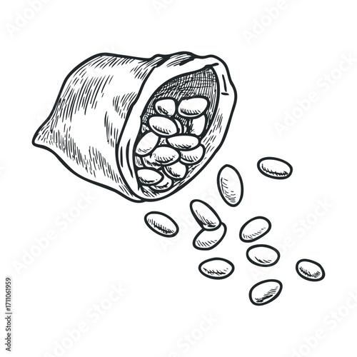 Spilled beans from a burlap sack on a rustic wooden table. Vector hand drawn illustration

