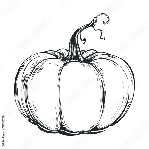Hand drawn pumpkin design for autumn decorations and celebrations. Vector hand drawn illustration

