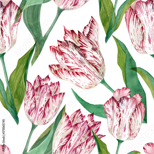 Obraz na plátně A seamless pattern with hand-drawn watercolor tulips