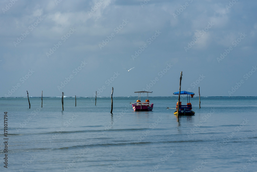 Obraz premium Colorful Boats on Calm Waters, São Miguel dos Milagres, Alagoas, Brazil on January 10, 2022