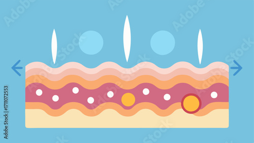 Cell Regeneration A split image showing skin before and after treatment highlighting improved texture and reduced wrinkles with exosome particles represented moving into skin