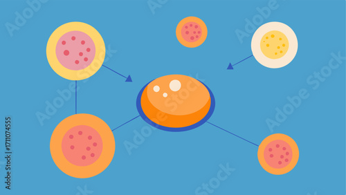 Cell Communication Exosomes illustrated as messengers transmitting Vitamin C benefits between skin cells showing interaction at the cellular level.
