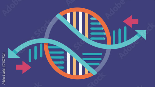 DNA Helix A stylized double helix with arrows depicting the process of sequencing. Sections of the helix are highlighted to indicate areas being studied for agingrelated genes.