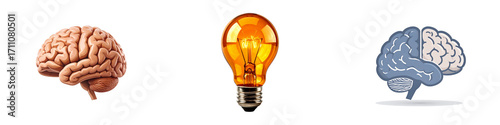Three brains and a lightbulb representing ideas and thought isolated on transparent background