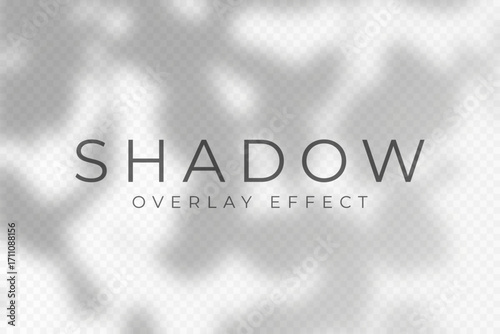 Shadow overlay effect. Transparent soft light and shadows from plant branches, leaves and foliage. Mockup of abstract transparent shadow overlay effect and natural lightning scene. Vector