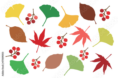 秋　葉っぱ　紅葉　植物 イラスト ベクター 