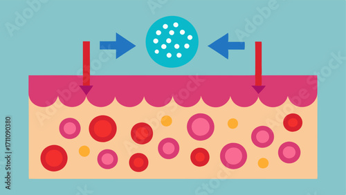 Enhanced absorption Illustrate skin cells absorbing nanoparticles more efficiently with arrows indicating the deeper tration compared to regular particles.