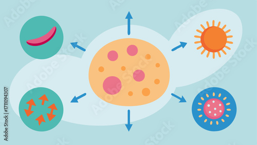 Cell Types Illustrate different skin cells fibroblasts keratinocytes immune cells being positively impacted by exosomes with arrows indicating their active response.