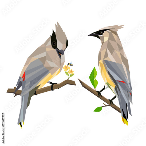 Low Poly Style Birds on Branch Vector Illustration