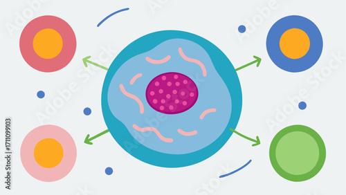 Cell Communication Depiction of a cell communicating with surrounding cells using arrows to indicate the transfer of exosomes that provide growth factors for collagen synthesis.
