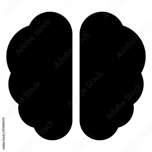 brain