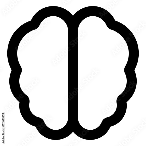 brain