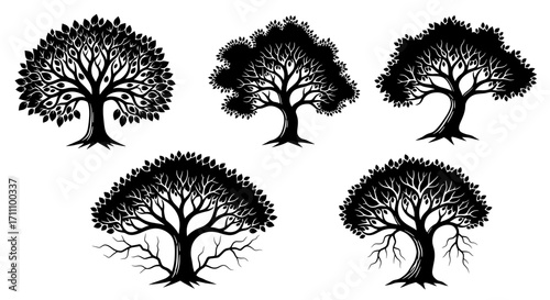 Five stylized tree illustrations with dense foliage and intricate branch patterns spread apart