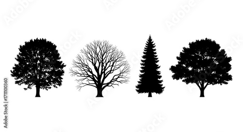 Four tree silhouettes including deciduous and evergreen species in a horizontal row against white