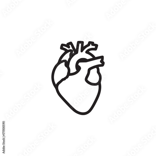 Vector art of anatomical heart icon depicting the organ responsible for pumping blood throughout the body, this minimalist design is perfect for medical, health, and educational projects