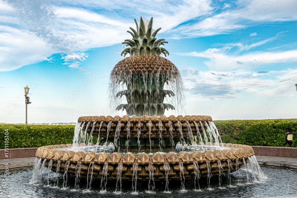 Fototapeta premium Close View of Pineapple Fountain in Charleston Waterfront Park